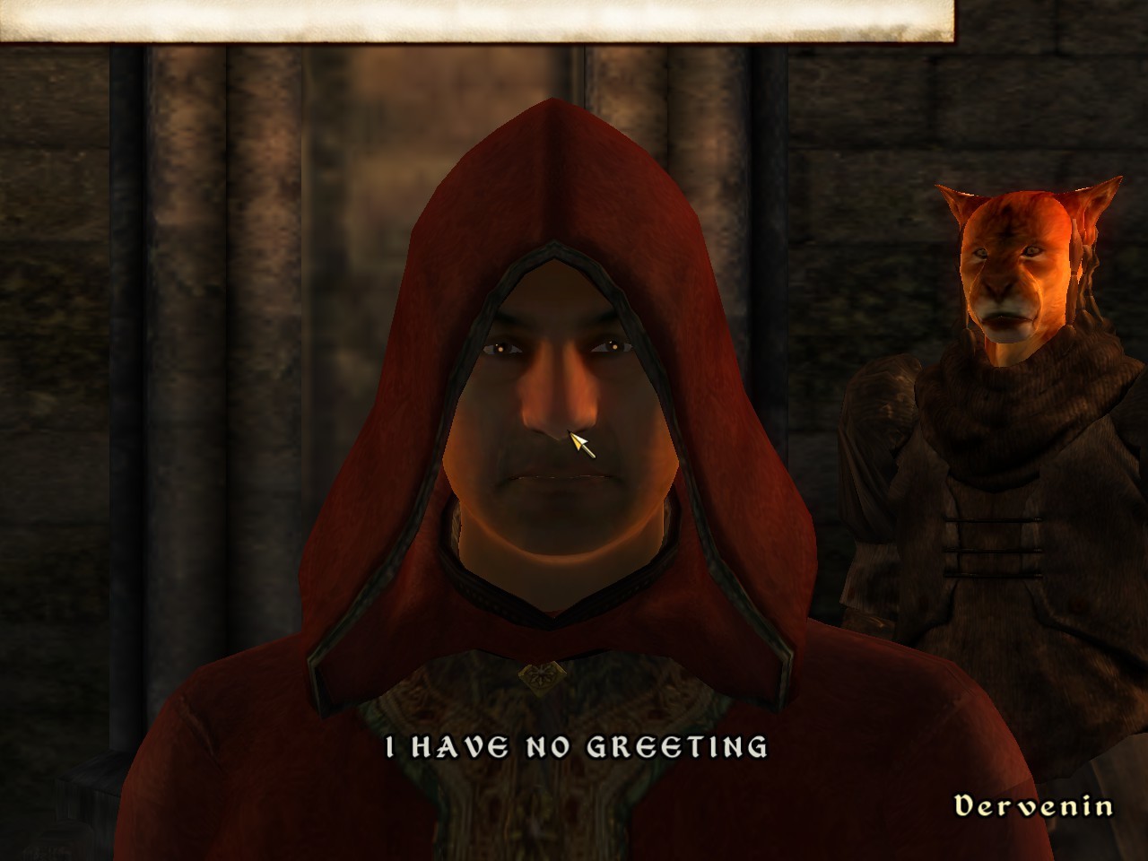 screenshot from the elder scrolls oblivion - dervenin glitch and say in all caps, "i have no greeting"